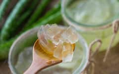 Aloe Vera Gel: ব্রণর সমস্যা থেকে ওজন কমানো, ফিটনেসে হিট অ্যালোভেরা