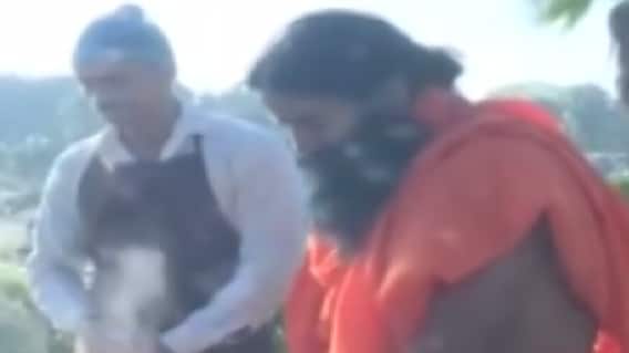 યોગ ભગાવે રોગ: કિડનીની બીમારી દૂર કરવામાં સીંઘોડાનો લોટ કારગર , જુઓ ગુજરાતી ન્યૂઝ