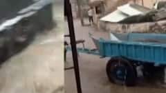 સૌરાષ્ટ્રમાં કમૌસમી વરસાદ વરસ્યો, શિયાળુ પાકને નુકસાન, જુઓ ગુજરાતી ન્યુઝ