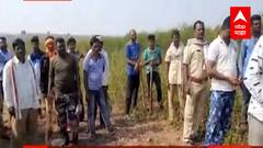 Wolf Attack : अमरावती जिल्ह्यातील मेळघाटमध्ये लांडग्याची दहशत,24 ते 30 पेक्षा जास्त नागरिकांवर हल्ला