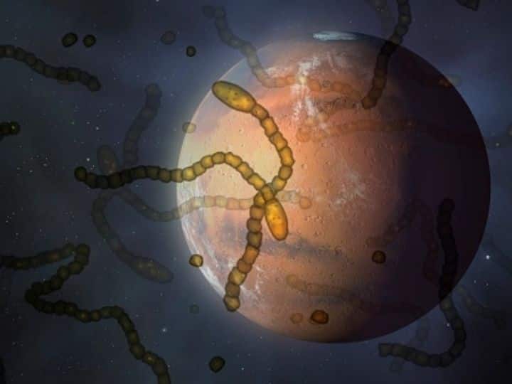Space Industry May Face Biosecurity Threats, Including Invasion Of 'Alien Organisms', Say Scientists. Know Why Space Industry May Face Biosecurity Threats, Including Invasion Of 'Alien Organisms', Say Scientists. Know Why