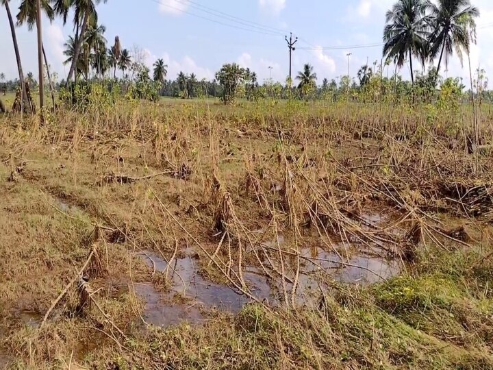 கடலூரில் பல்லாயிரம் ஏக்கர் விளைநிலங்களில் ஆற்று மணலை நிரப்பி சென்ற தென்பெண்ணை ஆறு