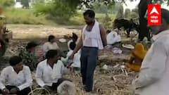 BEED : बीडमध्येही आता औरंगाबाद पॅटर्न, सर्व आस्थापनांना 'नो लस नो एन्ट्री' ABP Majha