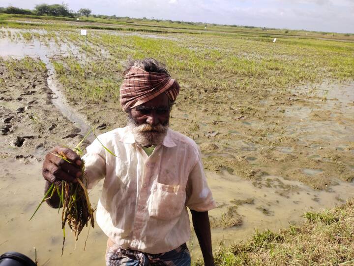 Tamil Nadu should be declared a disaster affected state - Farmers' request to the Central Committee பேரிடர் பாதித்த மாநிலமாக தமிழகத்தை அறிவிக்க வேண்டும் - மத்திய குழுவிடம் விவசாயிகள் கோரிக்கை