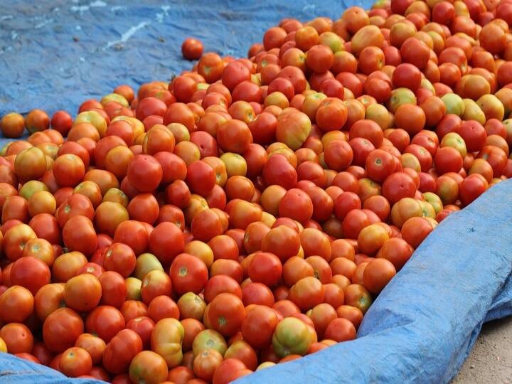 Tomato Prices: Expensive tomatoes ruin kitchen budget, no relief from expensive tomatoes Tomato Prices : ਮਹਿੰਗੇ ਟਮਾਟਰਾਂ ਨੇ ਵਿਗਾੜਿਆ ਰਸੋਈ ਦਾ ਬਜਟ, ਫਿਲਹਾਲ ਮਹਿੰਗੇ ਟਮਾਟਰਾਂ ਤੋਂ ਰਾਹਤ ਦੀ ਕੋਈ ਉਮੀਦ ਨਹੀਂ