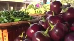 Tomato prices soar, Rs 100 per kg and common man suffers | Full Report