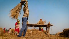 महंगाई की मार से त्रस्त हैं किसान, 40 किलो धान से पूरा साल परिवार का पेट भरने को मजबूर