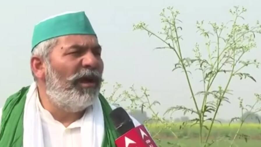 1 Year Of Farmers' Protest: ‘Our Struggle Now Moving Towards A Solution,’ Says Rakesh Tikait | EXCLUSIVE 1 Year Of Farmers' Protest: ‘Our Struggle Now Moving Towards A Solution,’ Says Rakesh Tikait | EXCLUSIVE