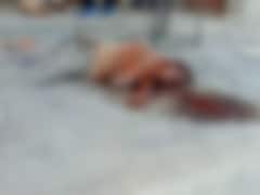 Chhattisgarh Crime News: निर्माणाधीन अस्पताल की बिल्डिंग में गार्ड की बेरहमी से हत्या, हिरासत में 9 संदिग्ध