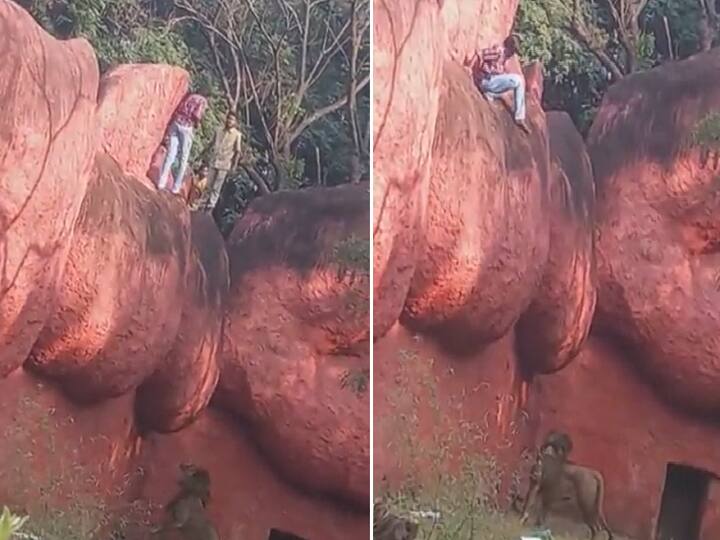 Man tries to enter lion’s enclosure ‘in search of diamonds’ zoo authorities hand him over to cops Watch Video : ”வைரத்தை எடுத்துட்டு போக வந்தேன்” : சிங்கத்தின் குகைக்குள் குதிக்க முயன்ற நபர்.. த்ரில்லிங் வீடியோ..