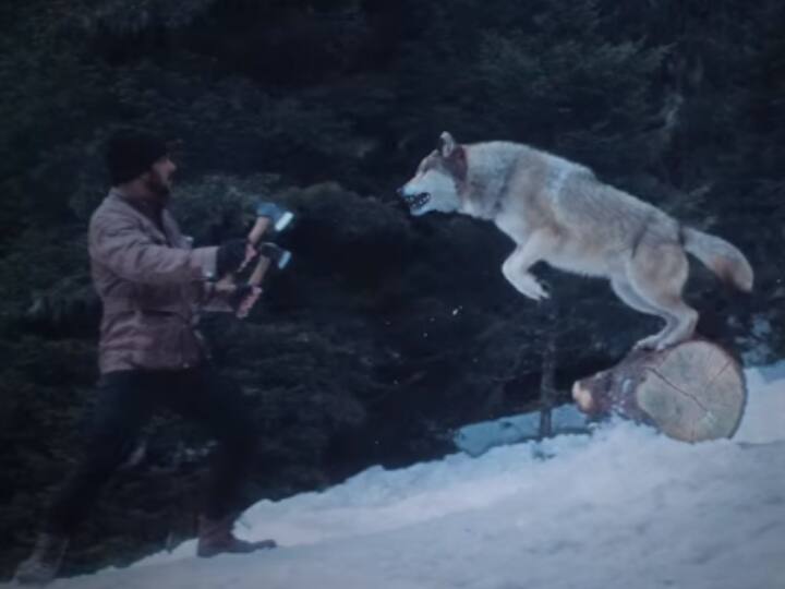 Salman Khan done most dangerous stunt Scene of film 'Tiger Zinda Hai' with real wolves Throwback Video: असली खूंखार भेड़ियों के साथ Salman Khan ने ऐसे शूट किया था फिल्म 'टाइगर जिंदा है' का खतरनाक स्टंट