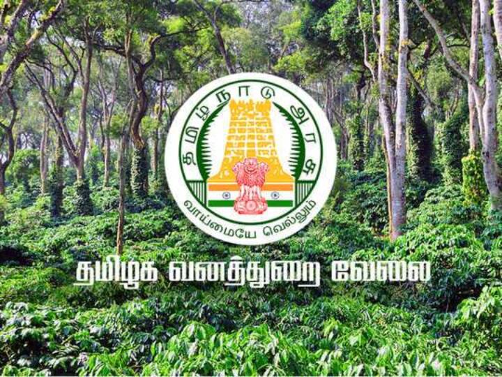 Jobs in Tamil Nadu Forest Department graduates apply soon! தமிழக வனத்துறையில் வேலை.. டிகிரி முடித்தவர்கள் உடனடியா அப்ளை பண்ணலாம்..
