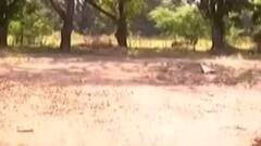 વડોદરાઃ સામૂહિક દુષ્કર્મ અને આપઘાત કેસમાં SIT ટીમની રચના, તપાસનો ધમધમાટ શરૂ