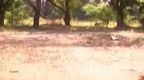 વડોદરાઃ સામૂહિક દુષ્કર્મ અને આપઘાત કેસમાં SIT ટીમની રચના, તપાસનો ધમધમાટ શરૂ