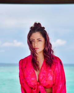 Rashmi Desai : बिग बॉस 15 मध्ये दाखल झालेल्या रश्मी देसाईची हटके अदा, चाहते झाले फिदा