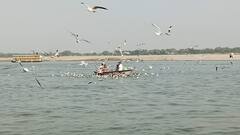 Varanasi News: काशी के घाटों पर लगा विदेशी मेहमानों का मेला, तस्वीरें देख चहक उठेगा आपका भी मन