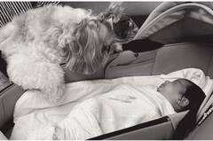 Kapoor's Baby: कपूर कुटुंबात आली एक छोटी परी, अर्जुन कपूर झाला काका, सोनम कपूर बनली आत्या, पाहा फोटो