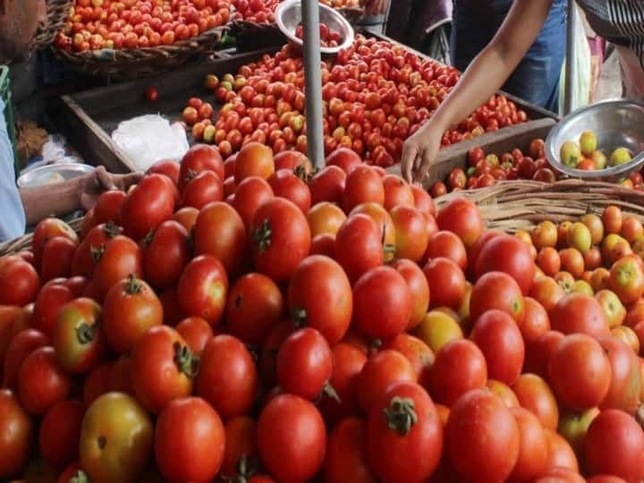 Tomato turned 'red' due to inflation in UP, prices fell in capital Delhi and MP know the rates Tomato Price: टमाटर के बढ़ते दाम से दिल्ली-एमपी में राहत, जानिए उत्तर प्रदेश में क्या हैं आज के रेट
