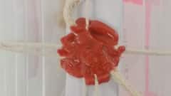 મોરબી: સસ્તા ભાવે અમેરિકન ડોલર અને સોનાનાં બિસ્કિટ બતાવીને છેતરપિંડી, જુઓ ગુજરાતી ન્યુઝ