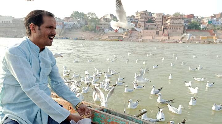 और जब ये उनके पास आते हैं तो दृश्य देखने लायक होता है. बता दें कि काशी के पर्यटन में भी इन पक्षियों की वजह से निखार आ गया है. और नाविकों का व्यवसाय भी बढ़ गया है.