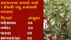 કમૌસમી વરસાદના કારણે ખેતીમાં થયેલા નુક્સાનીનો સર્વે રિપોર્ટ તૈયાર, જુઓ ગુજરાતી ન્યુઝ