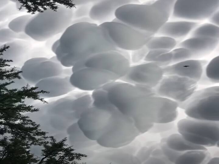Mammatus clouds cotton ball like clouds Spotted in Argentina- Watch Video Watch Video: குவியல் குவியலாக மேகங்கள்...அர்ஜெண்டினாவில் அதிர்ந்த மக்கள்!