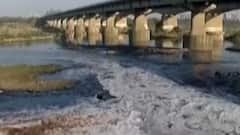 અમદાવાદ:સાબરમતી નદીમાં પ્રદુષણનો મામલો, AMCની કાર્યવાહી, જુઓ ગુજરાતી ન્યુઝ