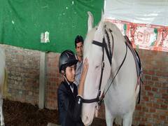 MP News: ओलंपिक में गोल्ड जीतने की तैयारी में जुटा नन्हा हॉर्स राइडर, लिम्का बुक ऑफ वर्ल्ड रिकॉर्ड में दर्ज करा चुका है नाम