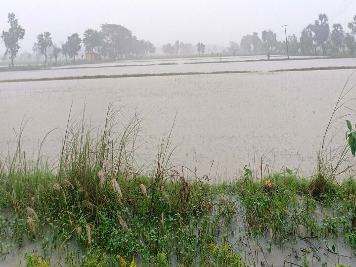 தொடர் கனமழை காரணமாக திருவாரூர் மாவட்டத்தில் நாளையும் பள்ளிகளுக்கு விடுமுறை