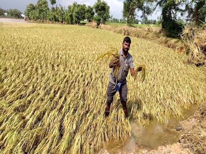 ’’கடலூர் மாவட்டத்தில் 88% விவசாயிகள் பயிர்க்காப்பீடு செய்துவிட்டனர்’’