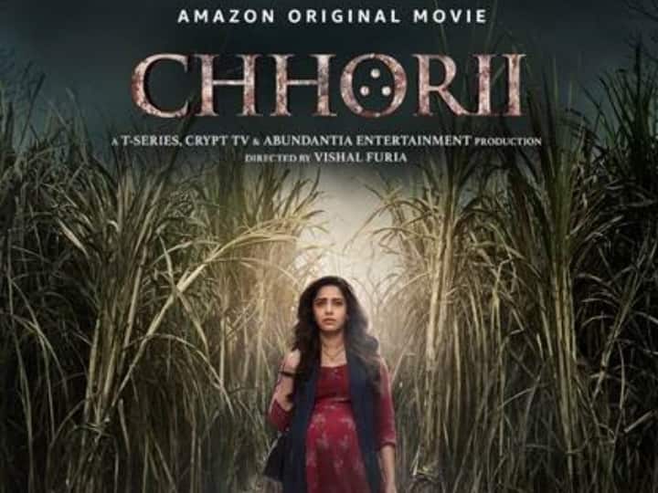 Ulasan Chhorii: Nushrratt Bharuccha, Mita Vashisht, Rajesh Jais, Film Thriller Horor Saurabh Goyal