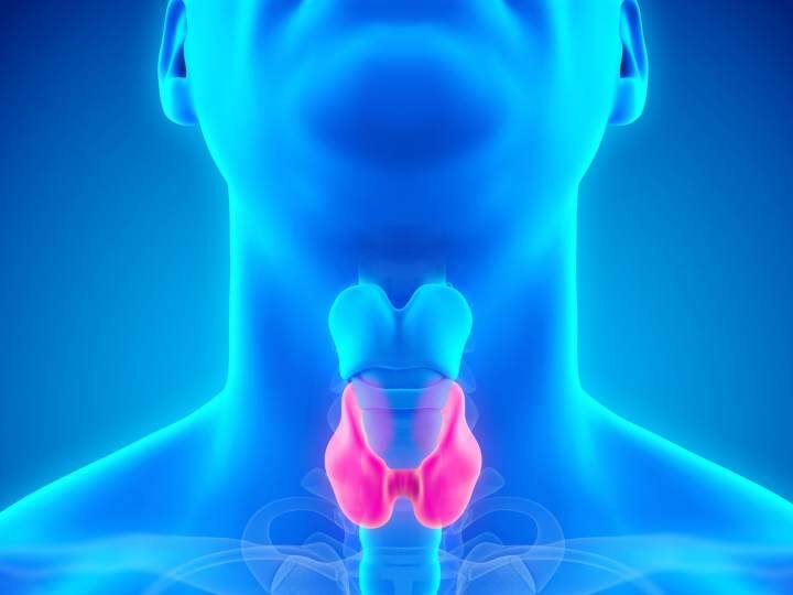 Basic Symptoms of Thyroid Thyroid: ఈ లక్షణాలు కనిపిస్తే... మీకు థైరాయిడ్ ఉన్నట్టే