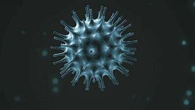 Corona: আফ্রিকায় করোনার নতুন প্রজাতির হদিশ, রাজ্যগুলিতে সতর্ক করে চিঠি কেন্দ্রের। Bangla News