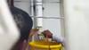 Karnataka: When ACB found money in a pipeline during raid | Sansani | 24 November 2021
