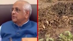 માવઠાના કારણે ખેતીને થયેલા નુકસાનનો સર્વે રિપોર્ટ તૈયાર, જુઓ ગુજરાતી ન્યુઝ