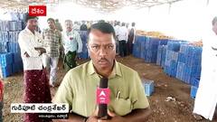 Ground report: పెరిగిన టమోటా ధరలు అనంతపురం రైతుల కంటకన్నీరు పెట్టిస్తోంది