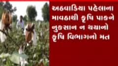 રાજ્યના વિવિધ જિલ્લાઓમાં થયેલા માવઠાથી ખેતપાક પર અસર અંગે કૃષિ વિભાગે શું કહ્યું?