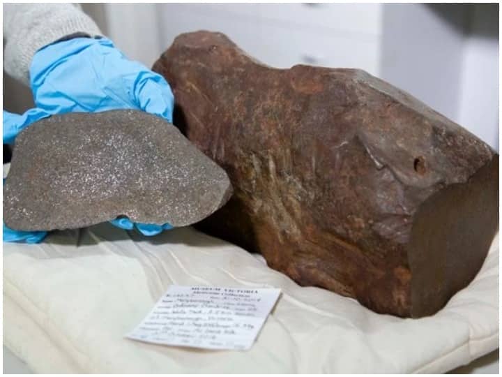 280 million year old of history recorded on stones in the Rajmahal of Jharkhand यहां के राजमहल में पत्थरों पर दर्ज है 280 मिलियन साल पुराने जुरासिक काल का इतिहास, ऐसे डिकोड होंगे कई रहस्य