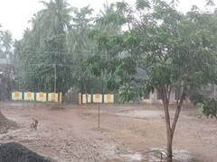 திருவாரூர்: கனமழை காரணமாக பள்ளிகள், கல்லூரிகளுக்கு விடுமுறை..