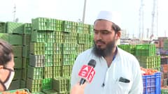 Why have tomatoes suddenly become so expensive?