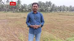 East Godavari Farmers Woes : తూర్పు గోదావరి జిల్లా లో ఆదుకోవాలని రైతుల వేడుకోలు