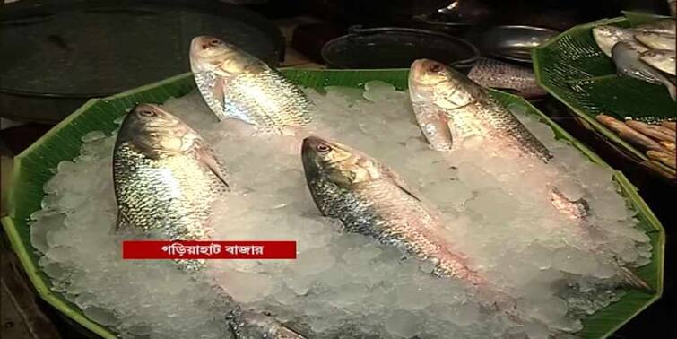 Import of Hilsa in the market at the begining of winter Hilsa: অসময়ে ইলিশের আমদানি, শীতের দোরগড়ায় বাজারে রুপোলি শস্য