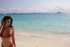 Disha Patani Photos: समुद्र किनारे Disha Patani ने Bikini में दिए ग्लैमरस पोज, तस्वीरों ने इंटरनेट पर मचाया तहलका