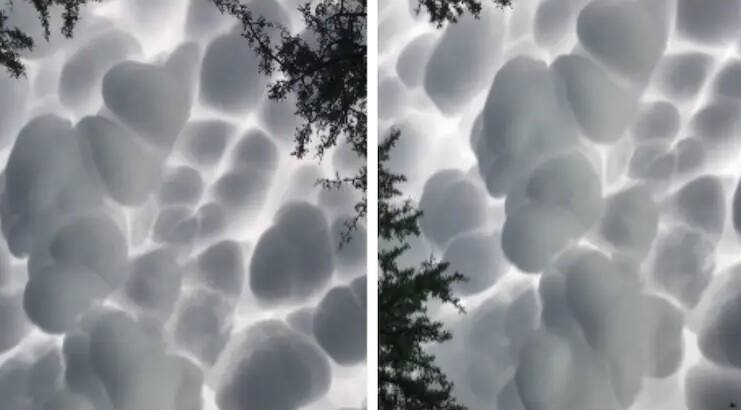 Aliens: Popcorn clouds spotted in Argentina people are saying the wonders of aliens video viral Viral Vieo: अर्जेंटीना में दिखे ‘पॉपकॉर्न’ बादल, लोग बता रहे एलियन का कमाल, वीडियो वायरल