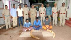 தருமபுரியில் யானை தந்தங்கள் கடத்திய 3 பேர் கைது - 25 கிலோ எடை கொண்ட 2 தந்தங்கள் பறிமுதல்