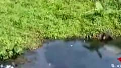 Bhatpara: পুর প্রশাসকের তৎপরতায় ভাটপাড়ায় বন্ধ হল পুকুর ভরাট, গ্রেফতার ৩| Bangla News