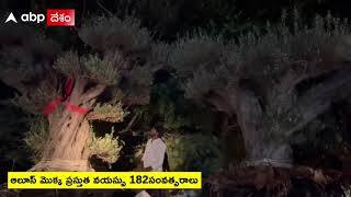 ముఖేష్ అంబానీ జూపార్క్ కోసం కడియం నుంచి విలువైన మొక్కలు