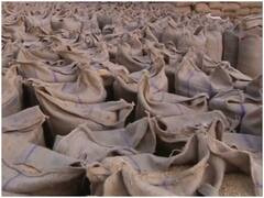 Bastar News: बस्तर में 1 दिसंबर से शुरू होगी धान की खरीद, अवैध खेप को रोकने के लिए जिला प्रशासन ने कसी कमर