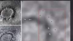 ફટાફટ: આફ્રિકા-હોંગકોંગથી આવતા પ્રવાસીઓને રિસ્ક પર રાખવા સૂચના, જુઓ ગુજરાતી ન્યુઝ