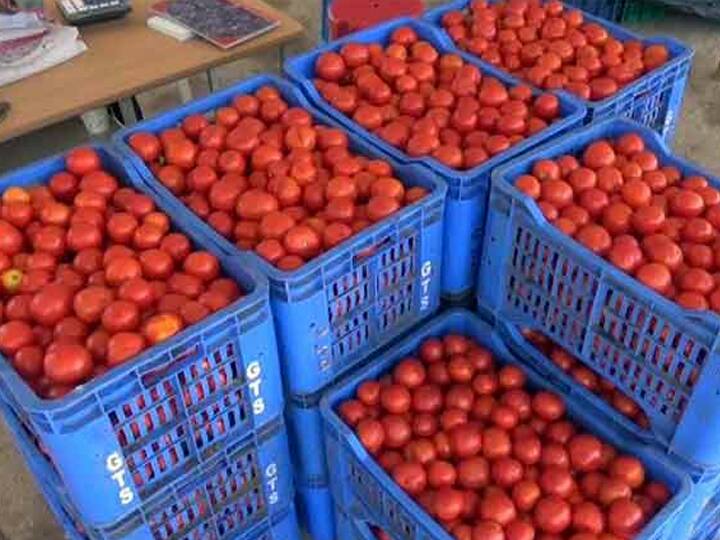 Echo of rising tomato prices - 35 tonnes of tomatoes stagnant at Dindigul Gandhi Market தக்காளியை வாங்க ஆளில்ல...! - திண்டுக்கல் சந்தையில் 35 டன் தக்காளிகள் தேக்கம்